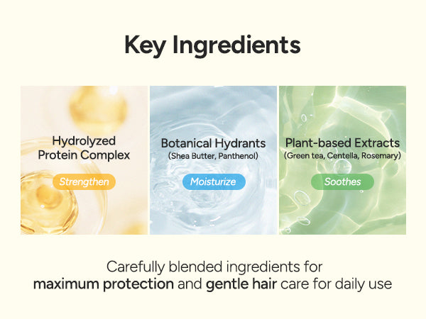 Key ingredients of the Perfumed Hair Shampoo — rosemary oil, centella, chamomile, protein complex and amino acids