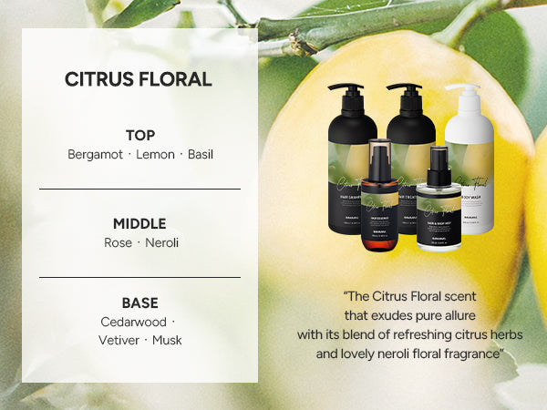 Fragrance pyramid for this scent, showing its top, middle and base notes alongside the full Perfumed range