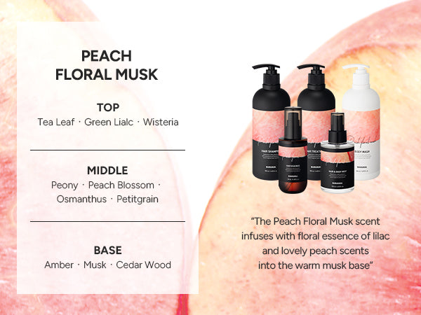 Fragrance pyramid for this scent, showing its top, middle and base notes alongside the full Perfumed range