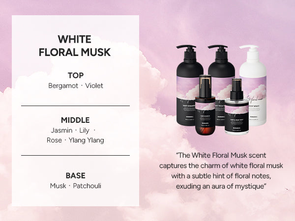 Fragrance pyramid for this scent, showing its top, middle and base notes alongside the full Perfumed range