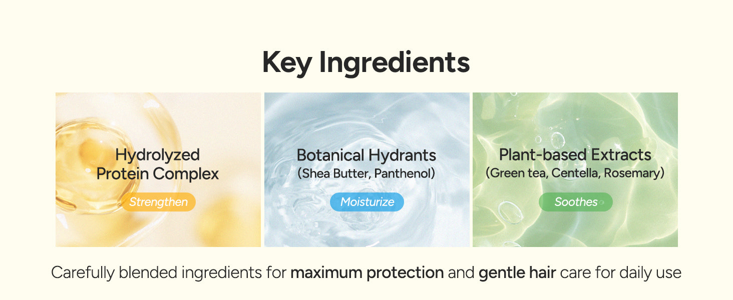 Key ingredients of the Perfumed Hair Shampoo — rosemary oil, centella, chamomile, protein complex and amino acids