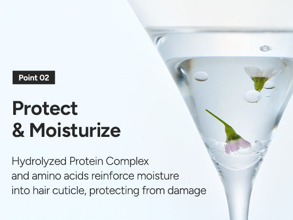 Point 02 Protect and Moisturize — hydrolyzed protein complex and amino acids reinforce moisture into the hair cuticle, protecting it from damage